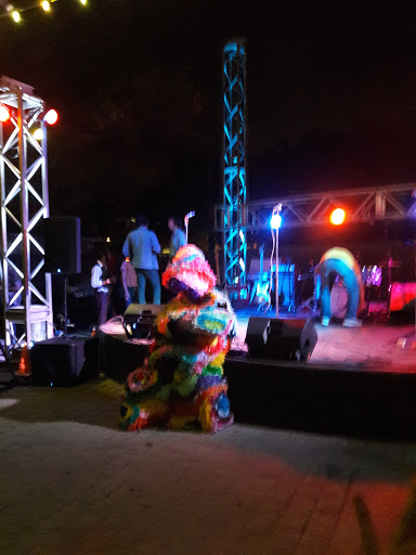 Live Music Venue «Yerberia Cultura», reviews and photos, 613 S 17th St, McAllen, TX 78501, USA