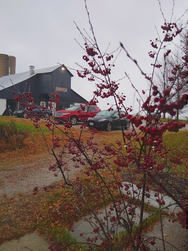 Winery «Smith-Berry Winery», reviews and photos, 855 Drennon Rd, New Castle, KY 40050, USA