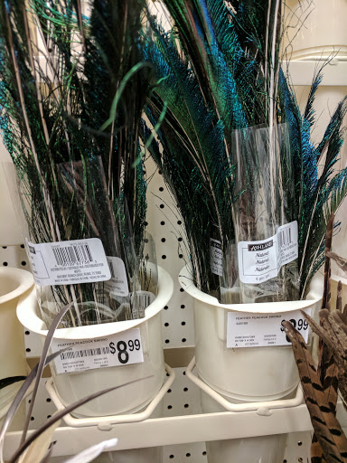 Craft Store «Michaels», reviews and photos, 1700 Deming Way #120, Middleton, WI 53562, USA