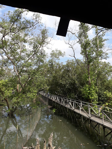 Menjelajahi 5 Hutan Nasional di Kota Balikpapan: Tempat yang Harus Dikunjungi