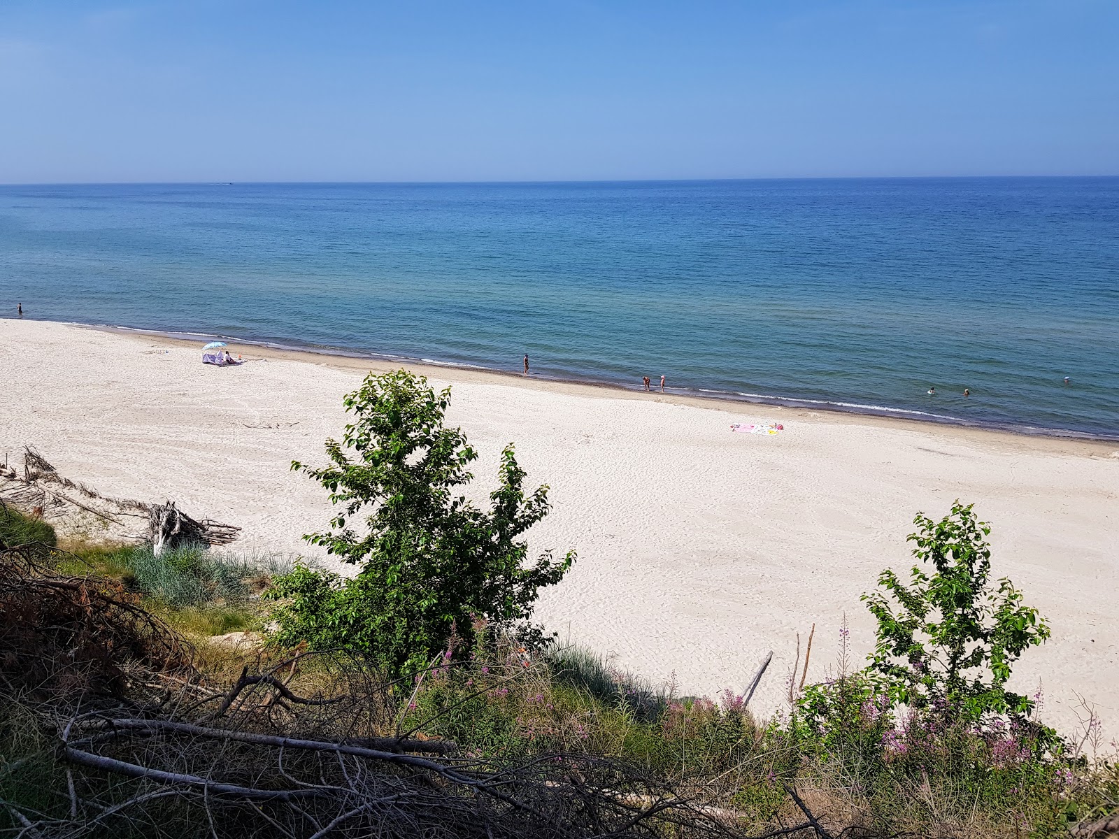Photo of Klif Orzechowo Beach with very clean level of cleanliness