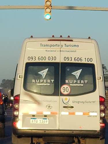 Rupert Transportes