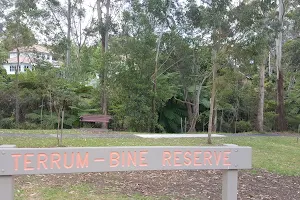 Terrum-Bine Reserve image