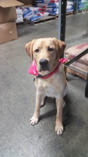 Pet Supply Store «Stoltzfus Feed & Supply», reviews and photos, 80 PA-41, Gap, PA 17527, USA