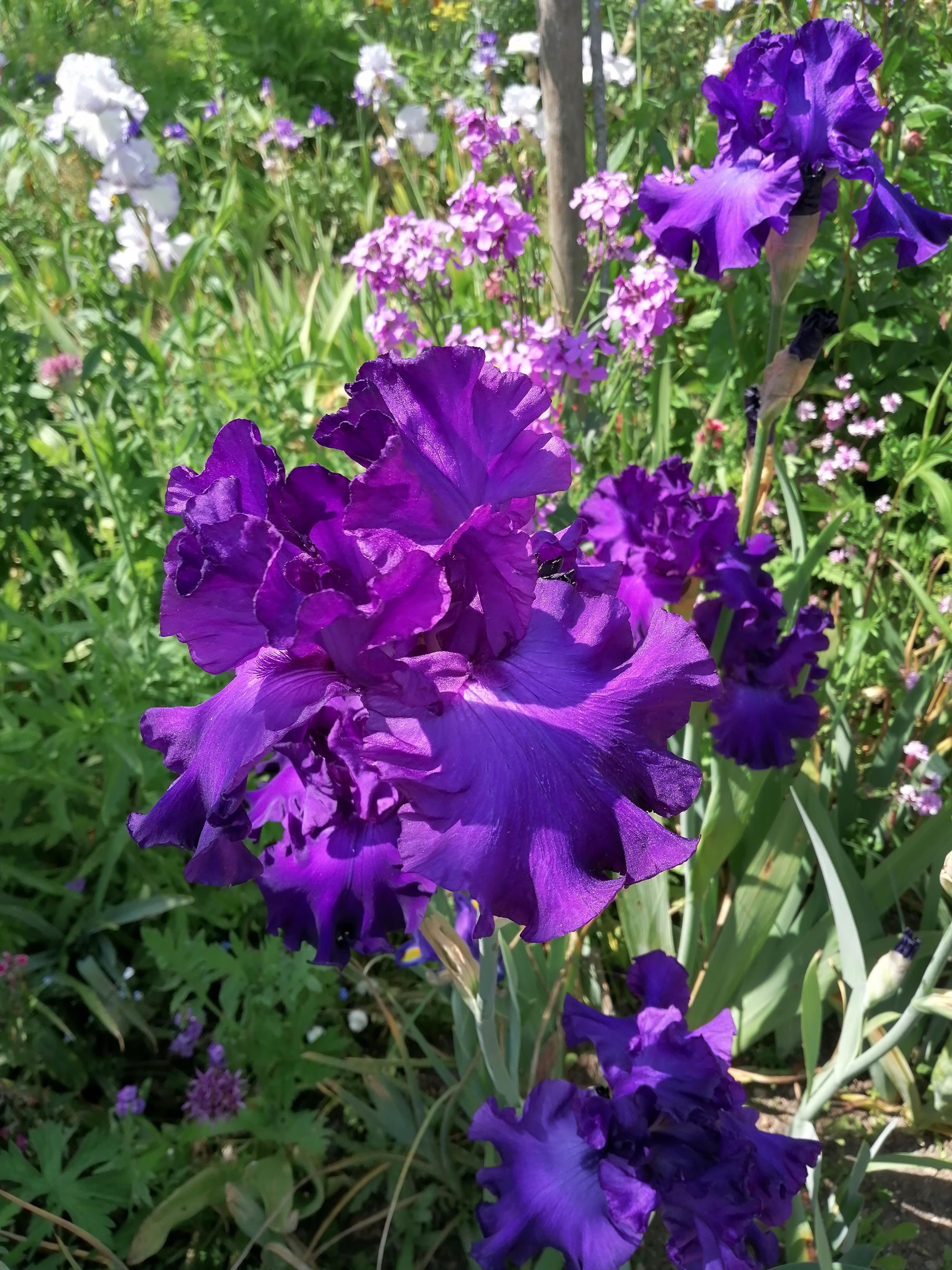 Photo n° 3 de l'avis de Dominique.i fait le 28/05/2023 à 08:32