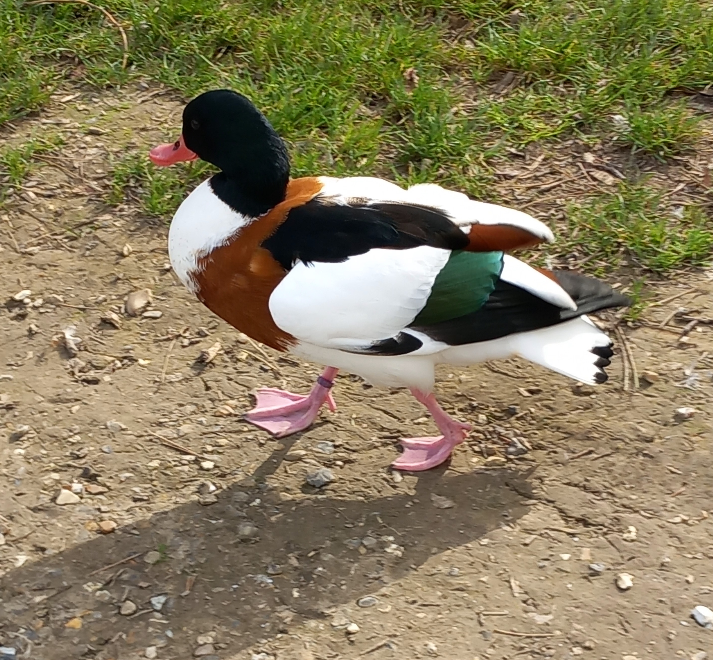 Photo n° 34 de l'avis de Julien.a fait le 11/10/2023 à 18:47