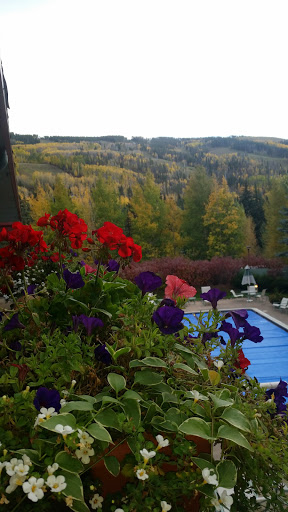 Sports Bar «Altitude Bar and Grill», reviews and photos, 250 S Frontage Rd W, Vail, CO 81657, USA