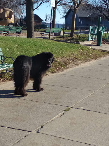 Historical Landmark «Fort Independence», reviews and photos, Harborwalk, Boston, MA 02127, USA