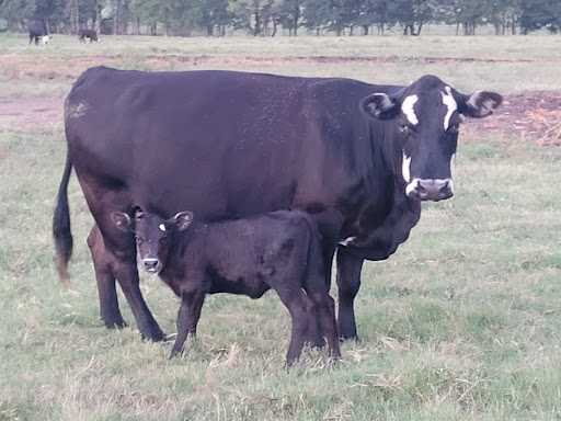 Catlett Brothers Feed Mill Inc