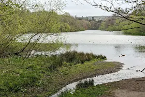 Loch of Fyvie image