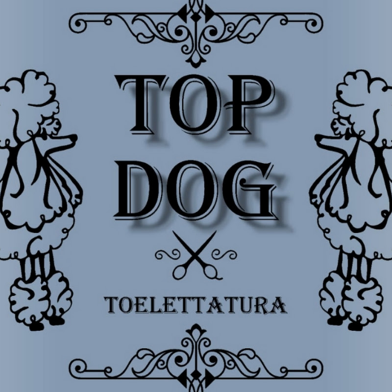 TOP DOG toelettatura