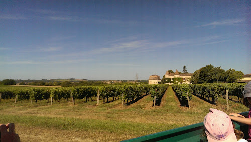 attractions Château du Frandat | AOC Buzet, Floc de Gascogne et Armagnac Nérac