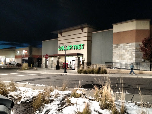Dollar Store «Dollar Tree», reviews and photos, 2439 Prairie Center Pkwy, Brighton, CO 80601, USA