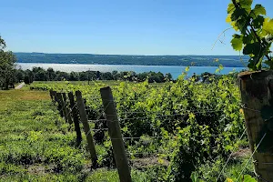 Seneca Lake Wine Trail image