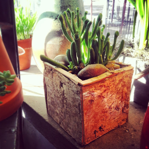 Florist «Ithaca Flower Shop», reviews and photos, 1201 N Tioga St, Ithaca, NY 14850, USA