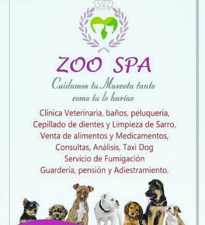 Clinica Veterinaria Zoo Spa