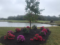 Legacy Landscaping Services - Photo 4 - Car repair in , Lehigh Acres