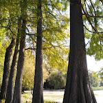 Photo n°8 de l'avis de Paolo.o fait le 24/10/2019 à 11:41 sur le  Villa il Geraneo à Monvalle