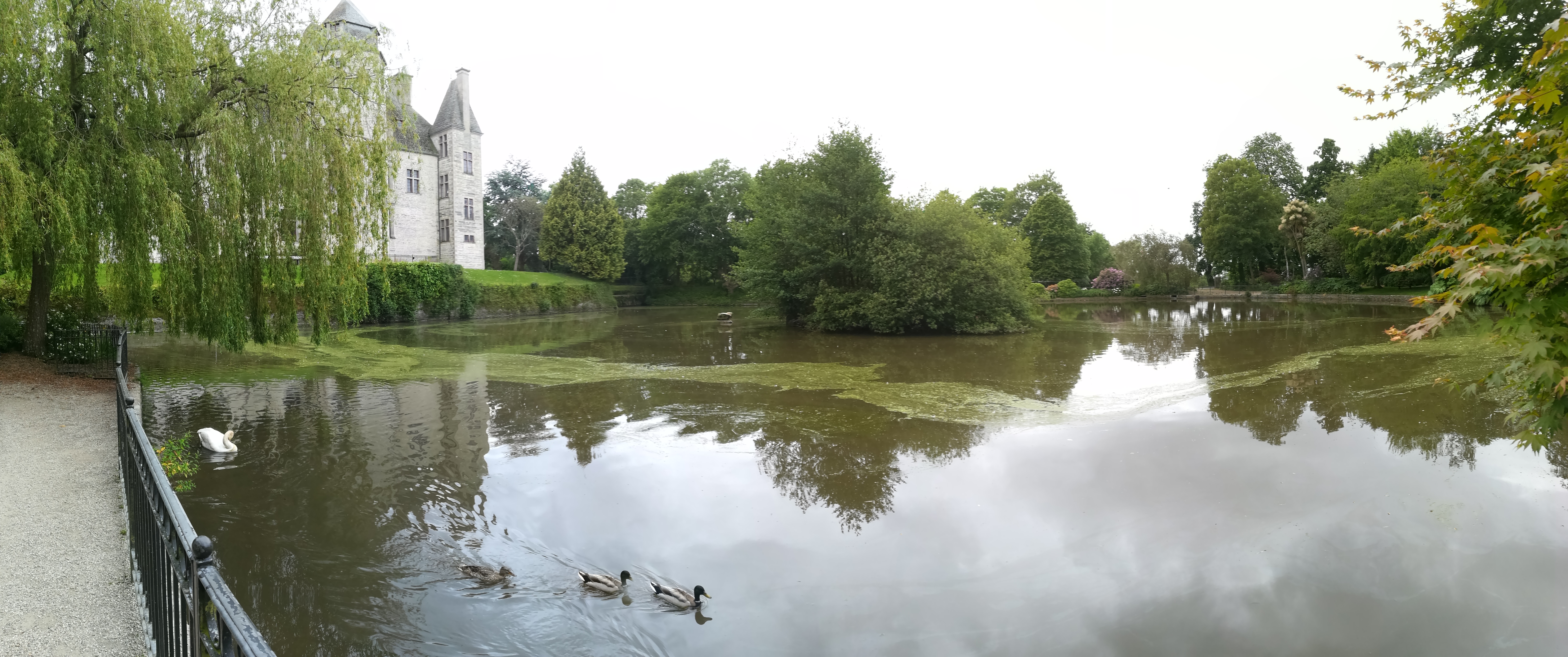 Photo n° 21 de l'avis de michael.o fait le 01/06/2019 à 15:56