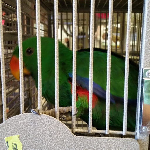 Pet Store «Parker Exotic Pets», reviews and photos, 17880 Cottonwood Dr, Parker, CO 80134, USA