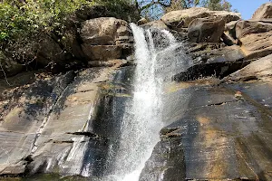 Upper Turga Waterfall image