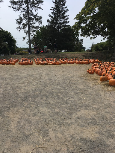 Farm «Russell Orchards», reviews and photos, 143 Argilla Rd, Ipswich, MA 01938, USA