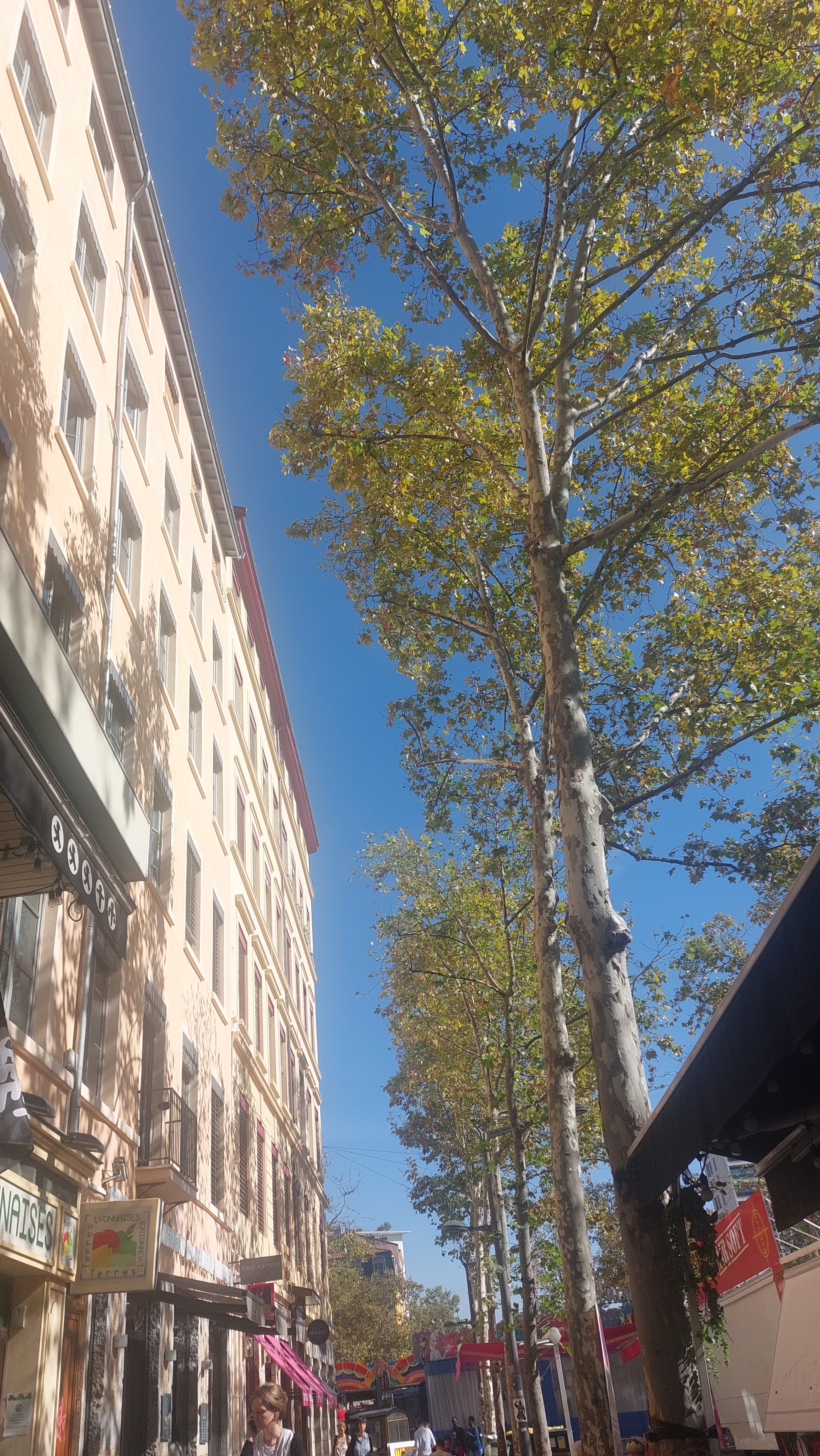 Photo n° 3 de l'avis de Hippolyte.a fait le 10/10/2023 à 15:12