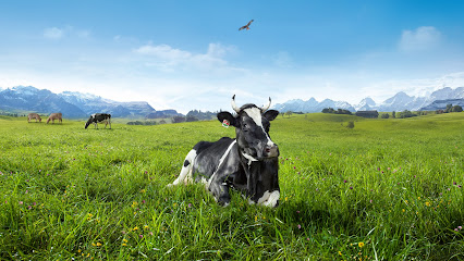 Schweizer Milchproduzenten SMP - Marketing Swissmilk