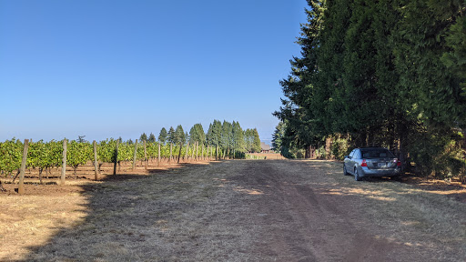 Vineyard «Cubanisimo Vineyards», reviews and photos, 1754 Best Rd NW, Salem, OR 97304, USA