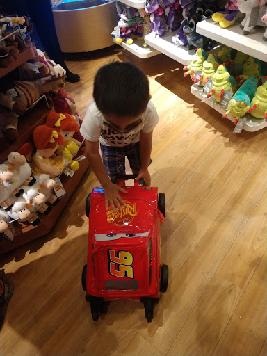 Toy Store «Disney Store», reviews and photos, 630 Old Country Rd, Garden City, NY 11530, USA