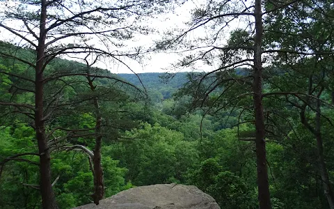 Buzzard's Roost image