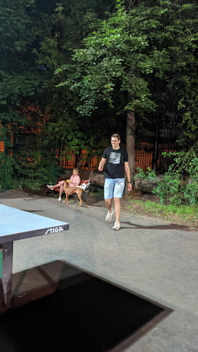 Настольный теннис в Нескучном саду
