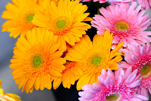 Florist «Melody Flowers», reviews and photos, 14520 Brookhurst St, Westminster, CA 92683, USA