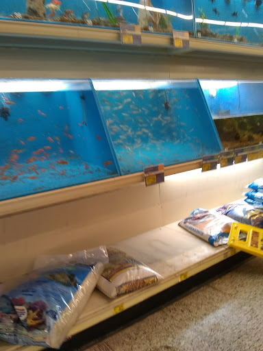 Pet Supply Store «PetSmart», reviews and photos, 70 Worcester-Providence Turnpike #240, Millbury, MA 01527, USA