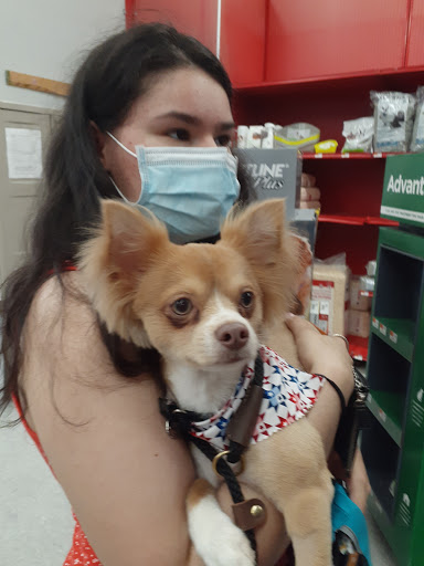 Pet Supply Store «Petco Animal Supplies», reviews and photos, 1209 New Brunswick Ave, Phillipsburg, NJ 08865, USA