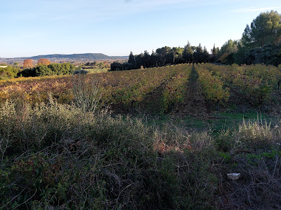 Domaine Mouressipe - Languedoc-Roussillon Allier Alain à Saint-Côme-et-Maruéjols