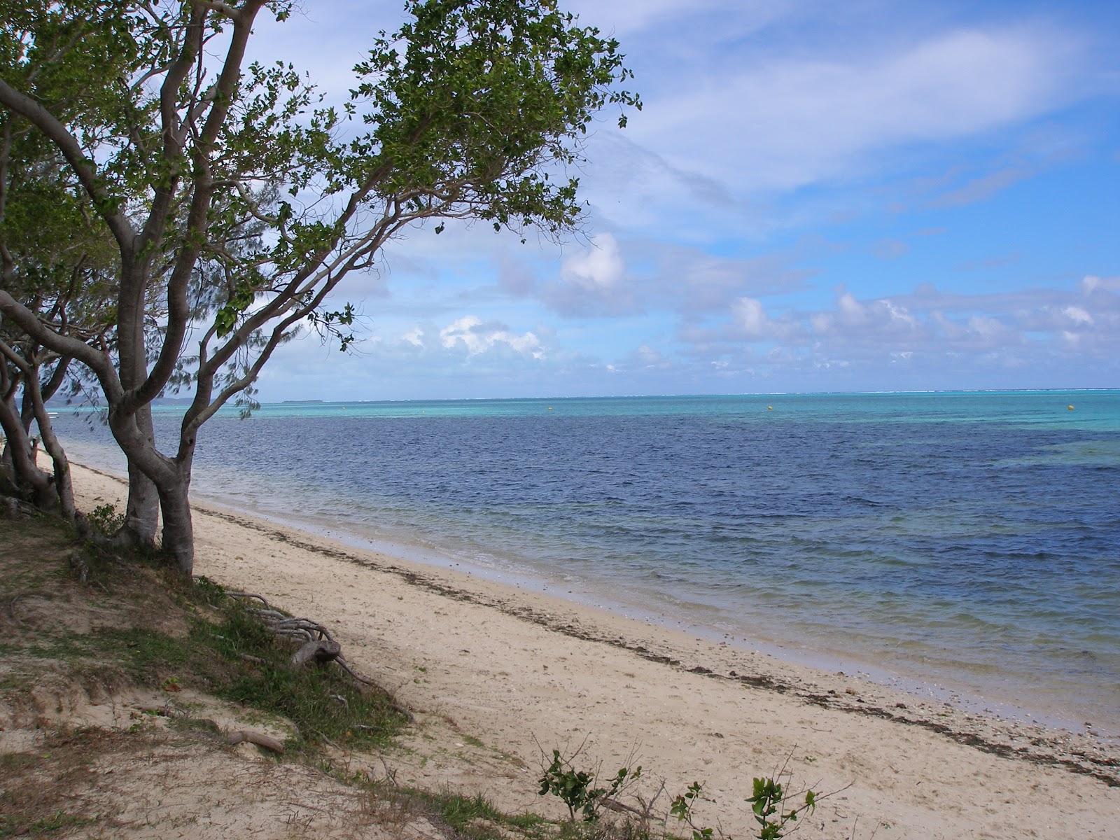 Banc de sable photo #7