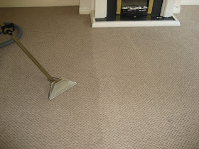 Owlet Carpet Care