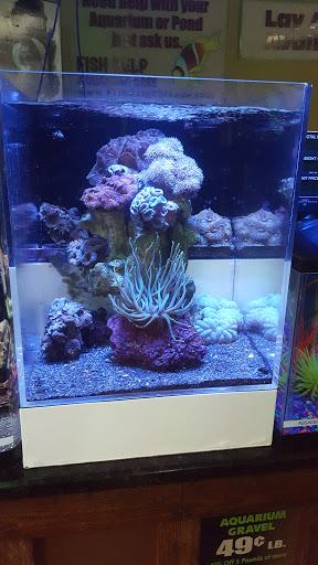 Pet Store «Oak Park Natural Pet & Fish», reviews and photos, 23 N Harlem Ave, Oak Park, IL 60302, USA