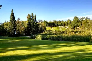 Cedar Valley Golf Club image
