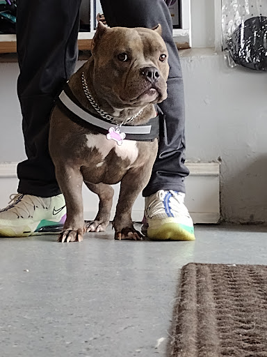 Pet Supply Store «The Dog House», reviews and photos, 4237 S Alameda St, Corpus Christi, TX 78412, USA