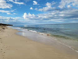 Zdjęcie Seabird Beach z powierzchnią turkusowa czysta woda