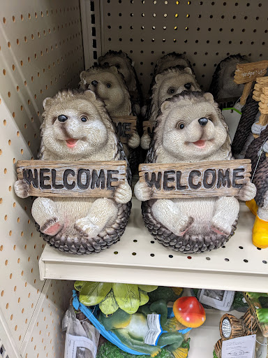 Discount Store «Big Lots», reviews and photos, 1501 Wesel Blvd, Hagerstown, MD 21740, USA