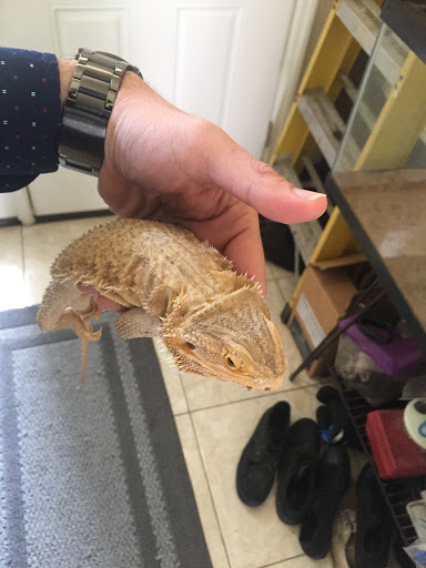 Pet Supply Store «Pet Supermarket», reviews and photos, 2449 S Hiawassee Rd, Orlando, FL 32835, USA