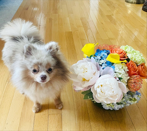 Florist «Vienna Florist & Gifts», reviews and photos, 431 Maple Ave W, Vienna, VA 22180, USA