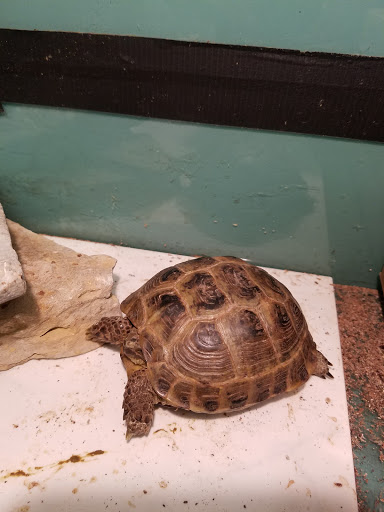 Pet Store «Movie Vault & PETropoliS live», reviews and photos, 1296 Anderson City Rd, Lawrenceburg, KY 40342, USA