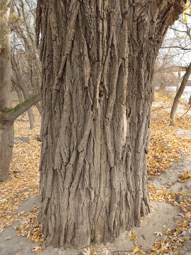 Country Club «Bearpath Golf & Country Club», reviews and photos, 18100 Bearpath Trail, Eden Prairie, MN 55347, USA