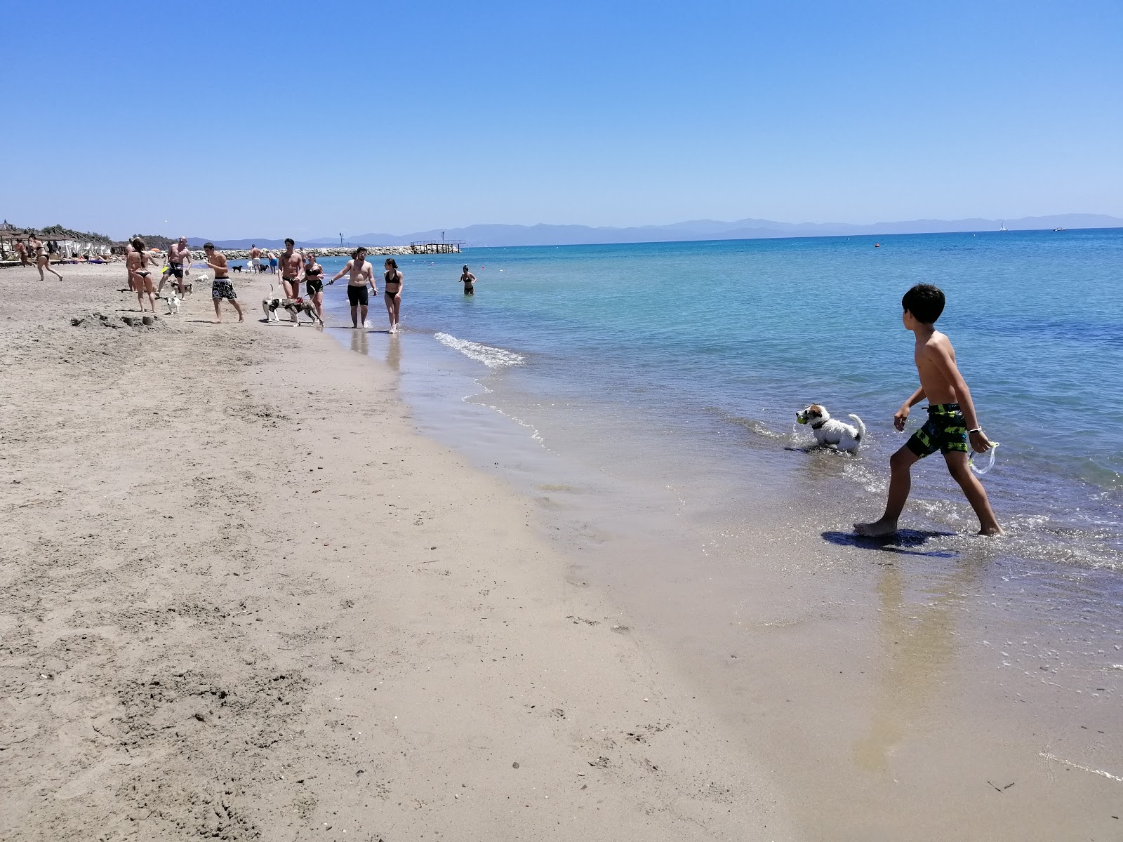 Foto von Pasha Glam Dog Beach annehmlichkeitenbereich