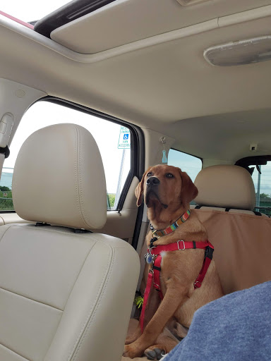 Tire Shop «Discount Tire Store - Altoona, IA», reviews and photos, 3883 8th St SW, Altoona, IA 50009, USA