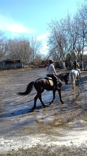 Horse-racing club Golden Horseshoe